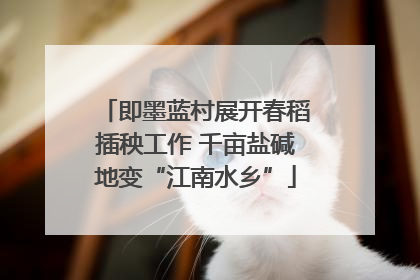 即墨蓝村展开春稻插秧工作 千亩盐碱地变“江南水乡”